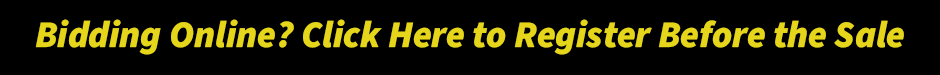 Online Auction Registration